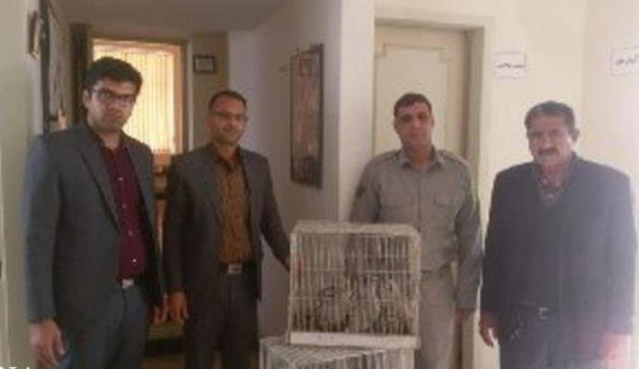 کشف محموله کبکهای زنده در داورزن سبزوار