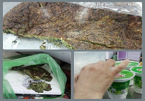 معدوم سازی بیش از ۳ تن موادغذایی فاسد و غیرقابل مصرف