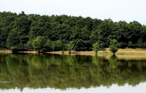 سقالکسار جاذبه دریاچه&zwnj;ای و جنگلی گیلان