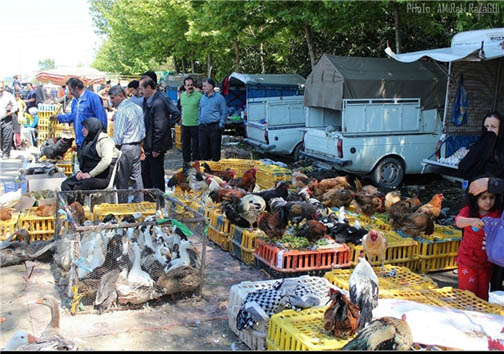 بازار متنوع در مازندران با انواع سلیقه&zwnj;های زنان ومردان ایرانی برای استقبال رفتن عید نوروز