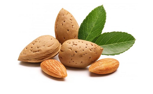 موثرترین مواد غذایی برای حفظ سلامتی مادر و نوزاد/مواد غذایی ازدیاد&zwnj;کننده شیر مادران شیرده