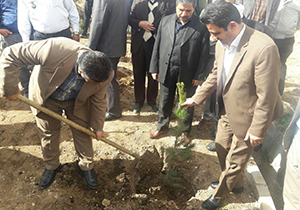 غرس 12 هزار اصله نهال در هفته منابع طبیعی
