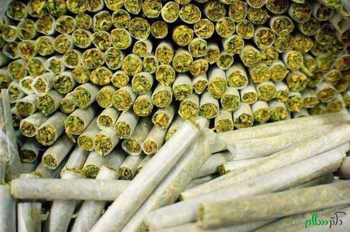 تبلیغ کنندگان گُل در اینستاگرام دستگیر شدند