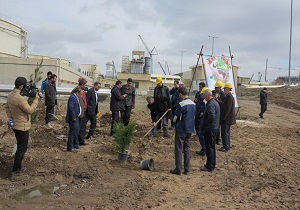 آغاز کاشت 5 هزار اصله نهال در نیروگاه سیکل ترکیبی سبلان