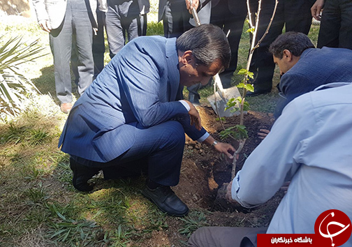 برگزاری مراسم درختکاری در اداره کل و مراکز آموزش فنی و حرفه ای لرستان