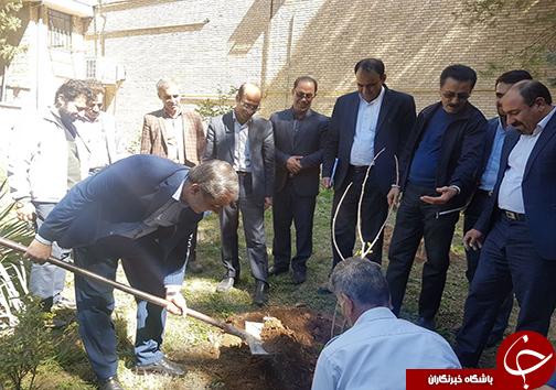 برگزاری مراسم درختکاری در اداره کل و مراکز آموزش فنی و حرفه ای لرستان