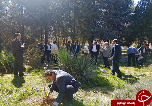 برگزاری مراسم درختکاری در اداره کل و مراکز آموزش فنی و حرفه ای لرستان