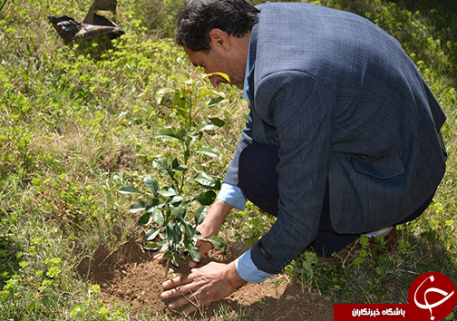 برگزاری مراسم درختکاری در اداره کل و مراکز آموزش فنی و حرفه ای لرستان