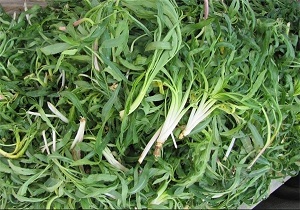 گیاهان بهاری را در برنامه غذایی بگنجانیم