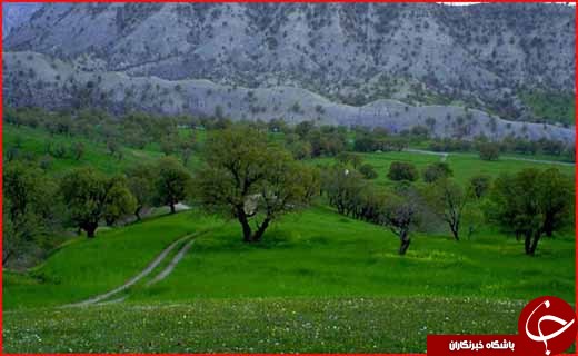 تفرجگاه تجریان