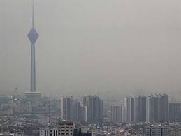 درختی که بزرگ&zwnj;ترین آلاینده هوا محسوب می&zwnj;شود