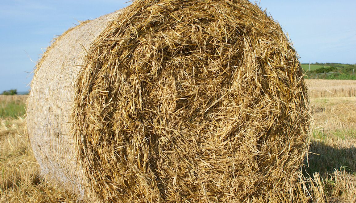 آخرین تغییرات قیمت نهاده های دامی و کشاورزی