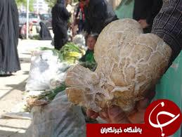 کارگر اخراجی شهردار را آتش زد/تکذیب خبر بازداشت یکی از مسئولان دولتی خراسان شمالی/آغاز محدودیت ترافیکی نوروزی از۲۳ اسفند در جاده&zwnj; های مازندران