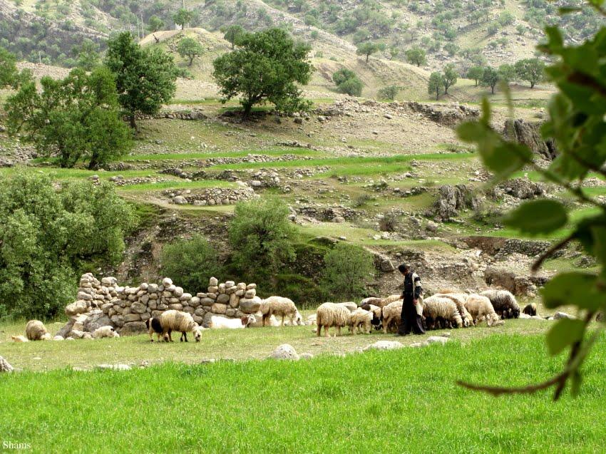 آبشاری در قلب زاگرس