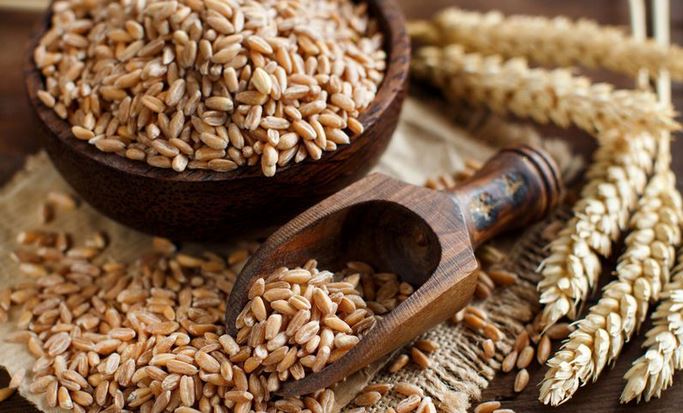 واردات گندم از روسیه کاهش یافت/ الحاق بندر شهید بهشتی به منطقه آزاد چابهار واردات گندم از روسیه کاهش یافت/ الحاق بندر شهید بهشتی به منطقه آزاد چابهار