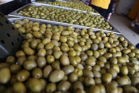 گردشگری طبیعی و تاریخی با سرو هزارساله هرزویل