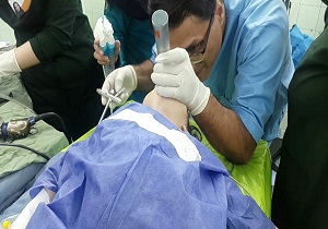 تخمه کدو بلای جان نوزاد کوهدشتی در قم