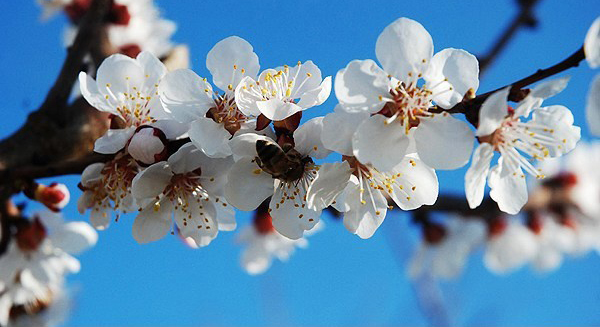 هرآنچه باید درباره اعمال مستحبی در عید نوروز بدانید