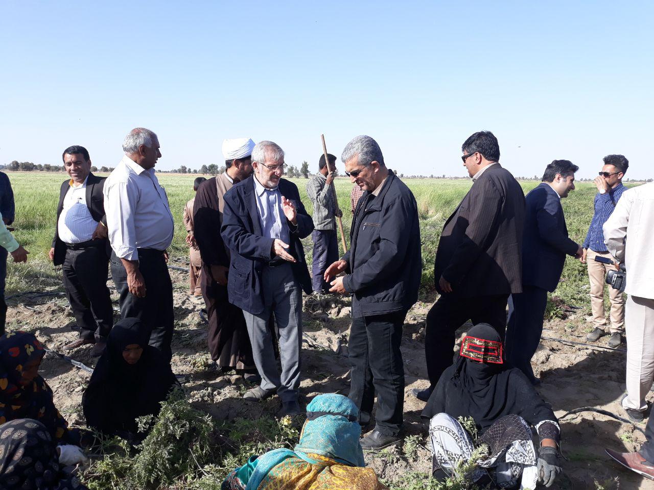 را ه اندازی ۵ شرکت تعاونی فراگیر ملی در قلعه گنج