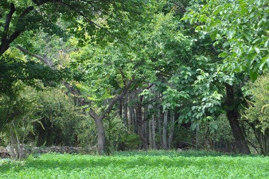 معجزه در دل کویر / روستای خوان، بهشت گمشده در خراسان جنوبی