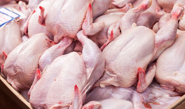 انتقاد اتحادیه مرغداران از نرخ کنونی مرغ زنده/ قیمت هر کیلو مرغ ۸۶۰۰ به تومان رسید