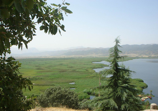 فیلم اجرا شدن حکم اعدام سارقان طلافروشی/باور کنیم آب نیست/جستجو برای یافتن یازدهمین سرنشین هواپیمای ترکیه&zwnj;ای/سرقت مسلحانه نافرجام از طلافروشی