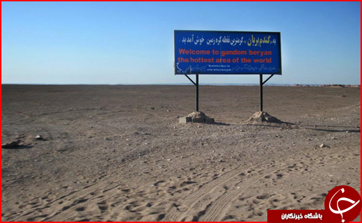 گندم بریان