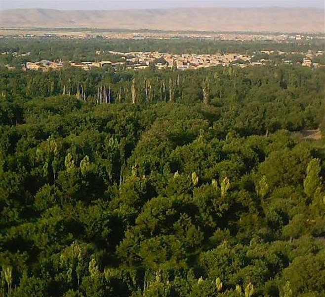 قاضی جهان کجاست؟