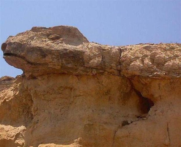 قاضی جهان کجاست؟