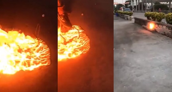 ویدئوی از جنون حیوان آزاری صدای کاربران را در آورد