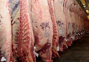 فعالیت ۳۲ گروه ناظر بهداشتی دامپزشکی سیستان و بلوچستان در ایام نوروز