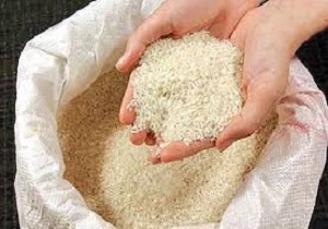 توزیع برنج یارانه‌ای با نرخ دولتی در بازار‌های کردستان
