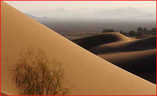 لحظه شماری یزد برای پذیرائی از میهمانان نوروزی