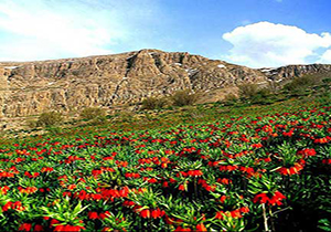 سفر رئیس سازمان میراث فرهنگی در ایام نوروز به لرستان