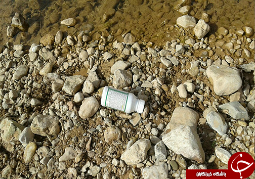 تلف شدن ماهیان سرچشمه افرینه+تصاویر