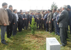 نصب ٦٦ نماد و غرس نهال به ياد جانباختگان هواپیمای تهران - یاسوج