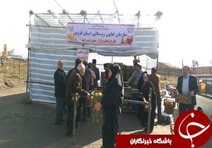 توزیع میوه شب عید از امروز در استان قزوین
