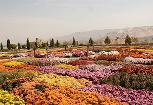 آمادگی شهرستان محلات برای استقبال از ۳۰۰ هزار مسافر نوروزی
