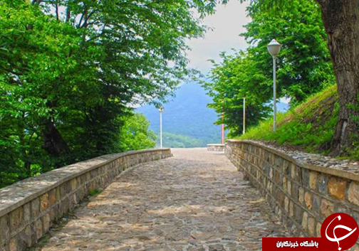 آزادشهر، شهری دیدنی با گل&zwnj;های شاه پسند