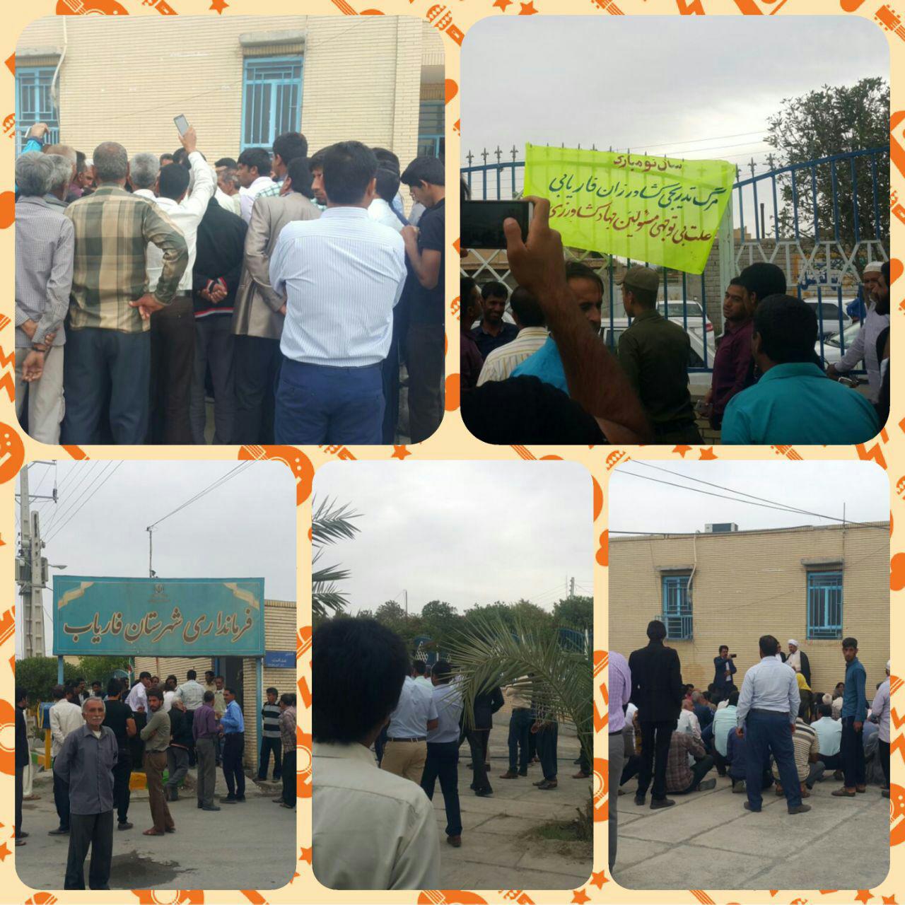 توزیع بذر نامرغوب درفاریاب کشاورزان را معترض کرد