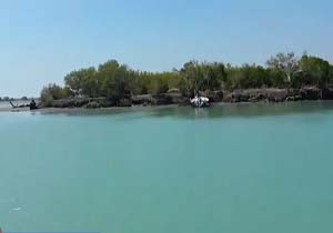 تالاب زیبای «خور آذینی» در استان هرمزگان + فیلم