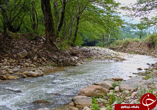 مینودشت شهر جنگل&zwnj;های انبوه