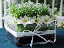 مدل های جدید تزئین سبزه عیدانه +تصاویر