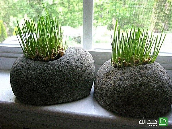 مدل های جدید تزئین سبزه عیدانه +تصاویر مدل های جدید تزئین سبزه عیدانه +تصاویر