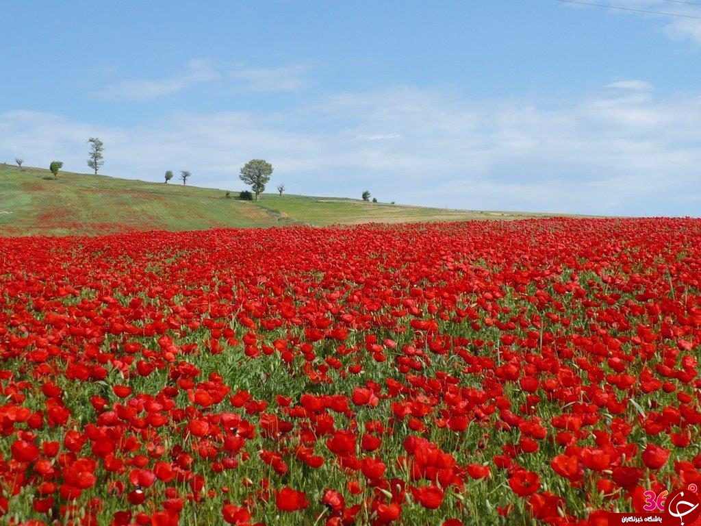 نوروز در سمنان؛ جاذبه هاي گردشگري استان سمنان +نقشه و تصاویر