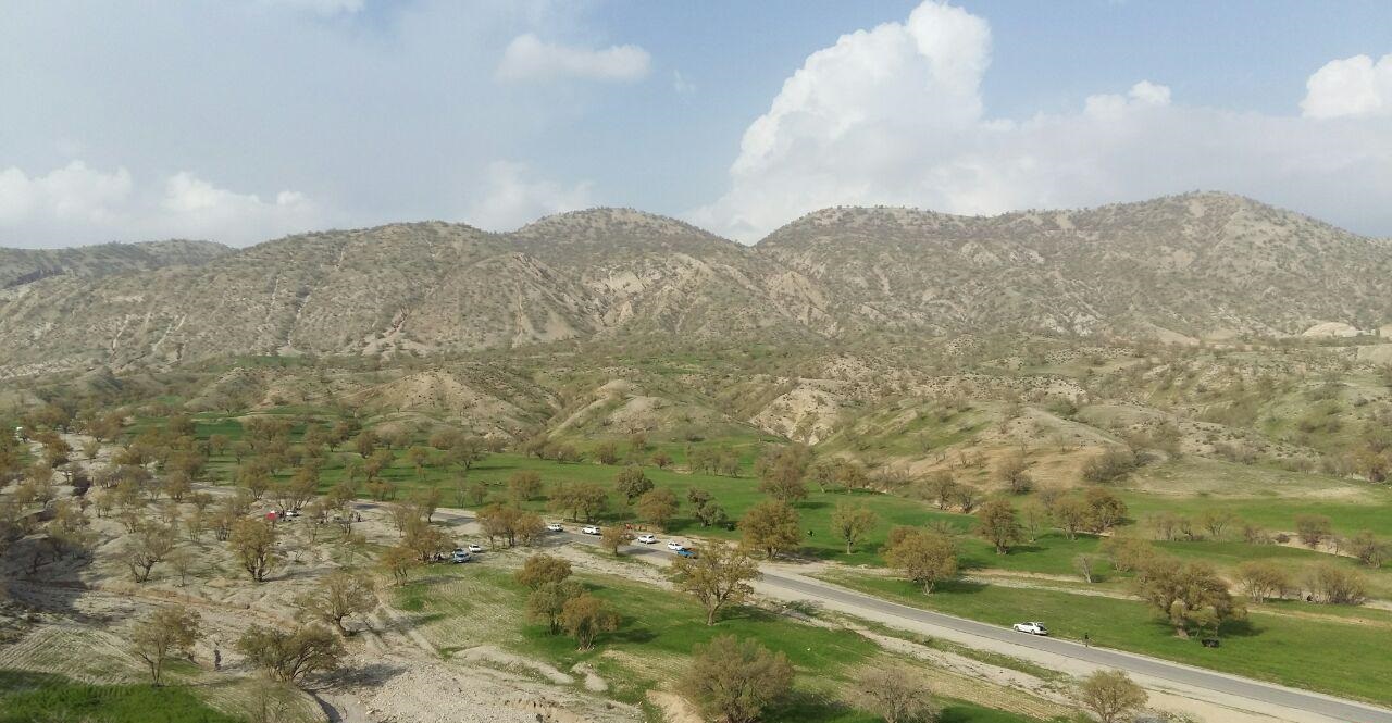 وجود ۶۴۱ هزار هکتار جنگل در ایلام