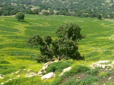 طبیعت زیبای منطقه گردشگری منگره در اندیمشک