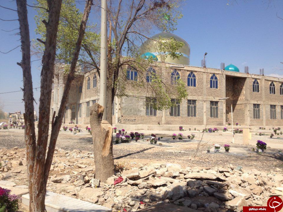 قطع درختان در امامزاده طاهر ورامین + تصاویر