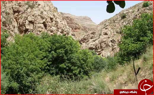روستای اسفجیر روستای اسفجیر