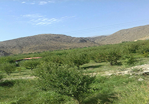 نمایی از طبیعت زیبا در نقدوز + تصاویر